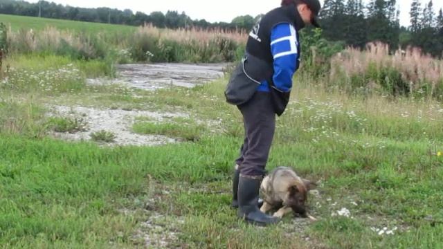 1-й урок по обучению обозначения вещи ( 2-я часть) смотреть онлайн