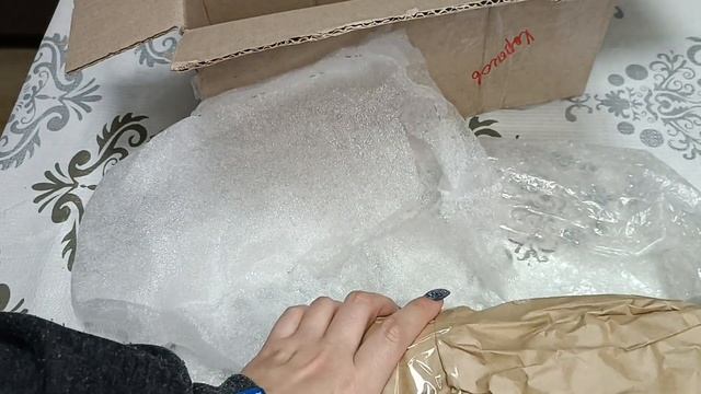 Новенькие орхидеи снова украсили мою коллекцию 🤗🍃 смотреть онлайн