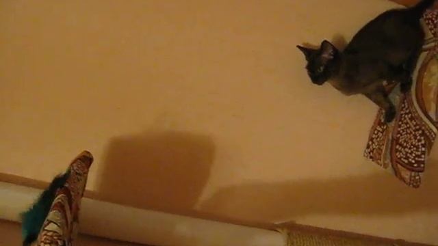 Снежок смотреть онлайн