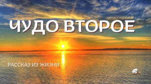 Чудо2