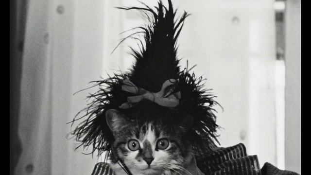 Le joli mai (Restauré) - La couturière et le chat смотреть онлайн