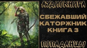 АУДИОКНИГА ПОПАДАНЦЫ: СБЕЖАВШИЙ КАТОРЖНИК. КНИГА 3