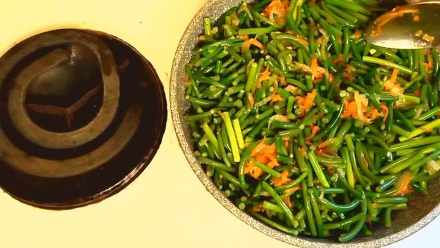 Путешествия с животными