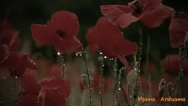 Осень, она не спросит 1 смотреть онлайн