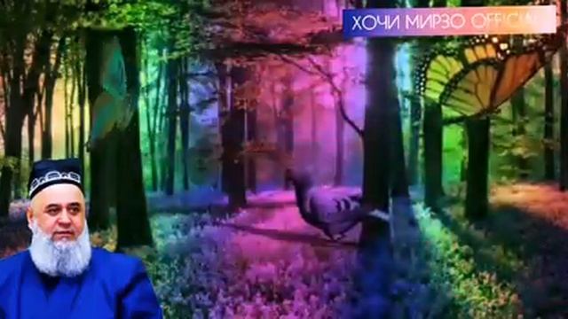 Хочи Мирзо Сапти нав Огох бошед читавр бояд салом кард 11 04 2020(240P) смотреть онлайн