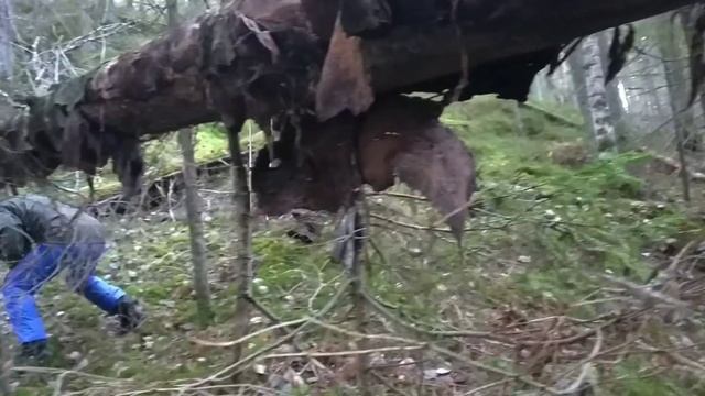 Карелия'20 о людях смотреть онлайн