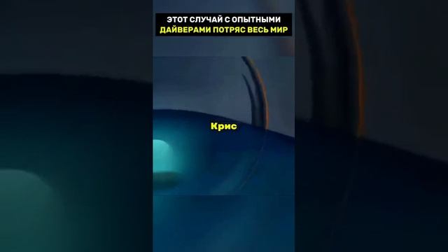 Этот случай с опытными дайверами потряс весь мир смотреть онлайн