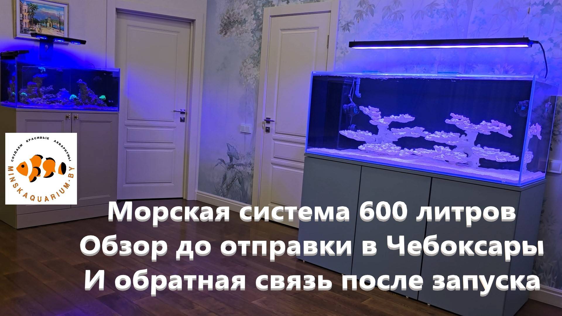 Морской аквариум 600 литров. Обзор до отправки и видео после запуска. смотреть онлайн