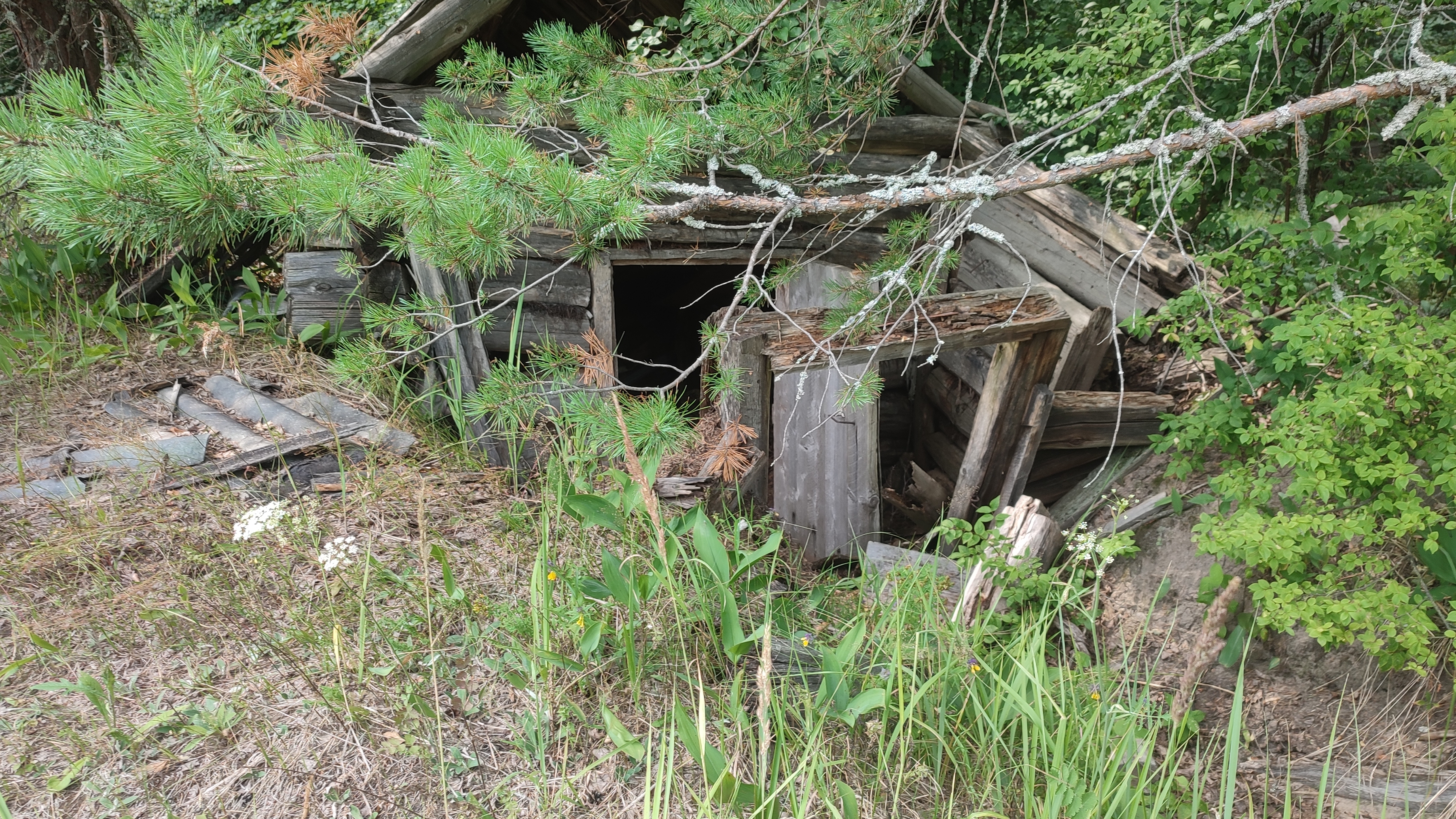 Совет!Как на копе ,не имея при себе режущего инструмента,можно легко сломать длинную находку!!! смотреть онлайн