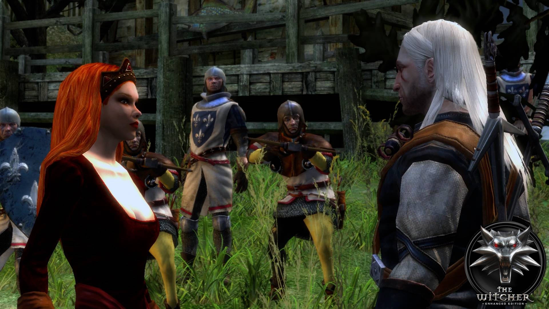 #22 Смерть Профессора (молчаливое прохождение) - The Witcher смотреть онлайн