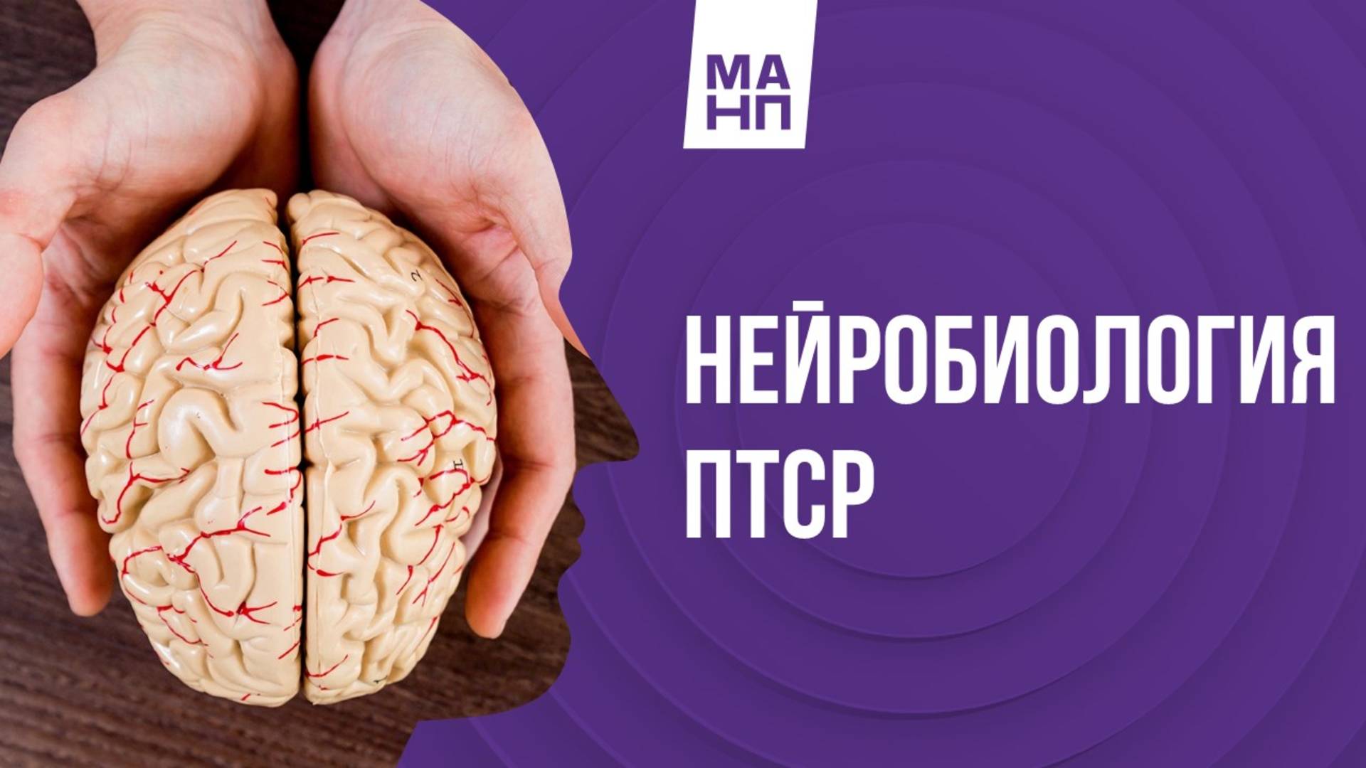 Нейробиология ПТСР