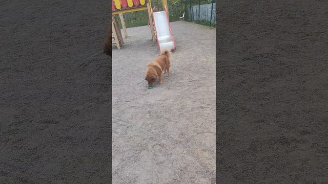 чем ещё заниматься красотке хитропопой ранним утром смотреть онлайн