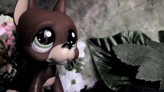 LPS: СEРИАЛ «Как? Магия✨» 6 серия «История Оливера» смотреть онлайн