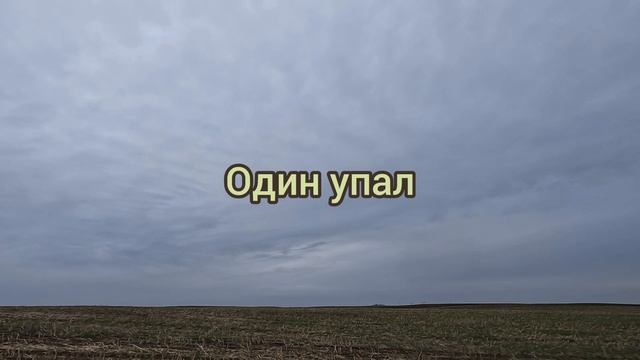 Охота на гуся. На кукурузном поле... смотреть онлайн