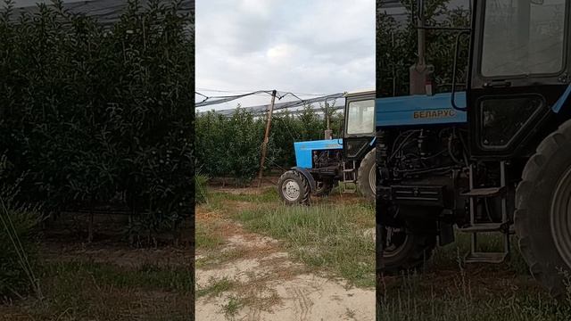 Опрыскивание интенсивного сада!