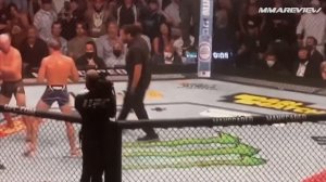 Бой Майкл Пейдж vs Йен Гэрри / Брайан Ортега vs Диего Лопес UFC 303 / Разбор Боев и Прогноз