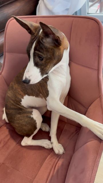 А где мой завтрак?😑