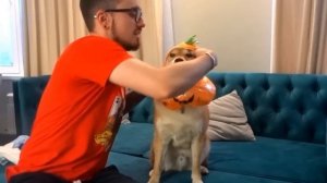 ЭДИСОН СНЯЛ ВИДЕО НА ВТОРОЙ КАНАЛ С МАРТИ! #эдисон #эдисонперец #мартирос