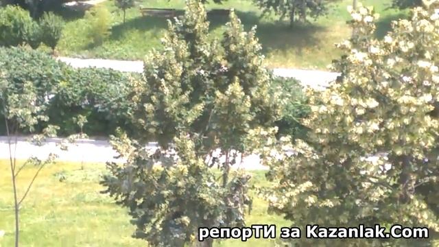 Как се бере липа смотреть онлайн