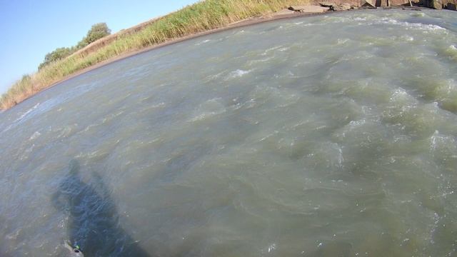 FHD0006 смотреть онлайн