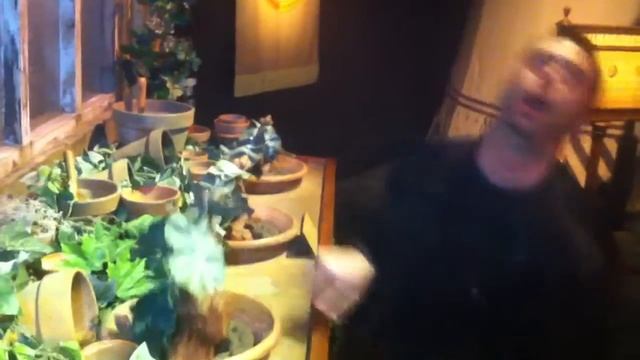 The Harry Potter experience .@TWoSEdm #HarryPotter #YEG trying to pull a mandrake root. No earmuff смотреть онлайн