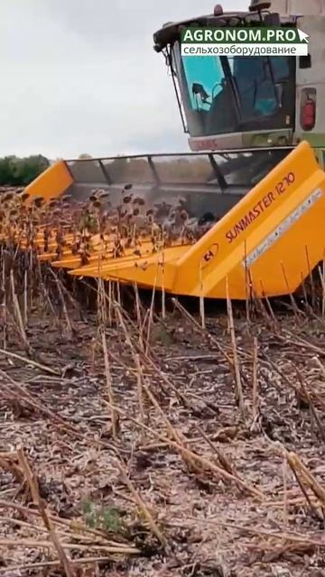 #Shorts #жатка #уборкасемечки #урожай #комбайн #фермер #сельскоехозяйство #klaas смотреть онлайн