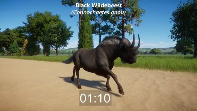 Bovidae Family Category Races in Planet Zoo included Wildebeest, African Buffalo, Bison & etc смотреть онлайн