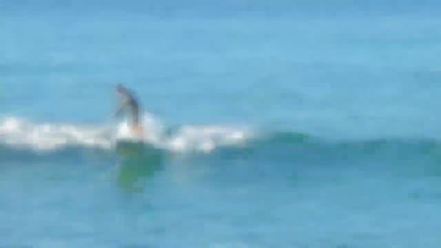 SUP test session смотреть онлайн