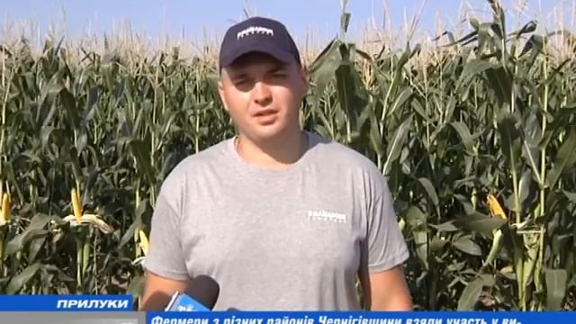 17 08 17 День поля Maisadour Прилуки смотреть онлайн