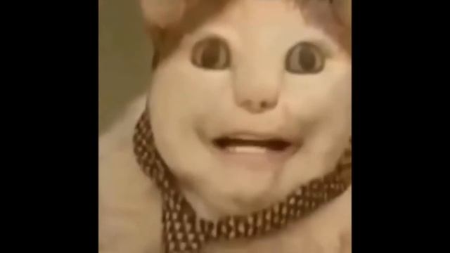 БУ испугался мем смотреть онлайн