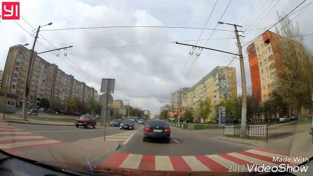 ЛОСІ НА ДОРОЗІ...м.ЛЬВІВ смотреть онлайн