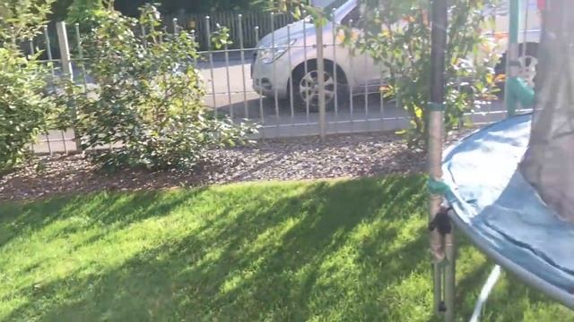 В гостях у Шефа#vlog. смотреть онлайн