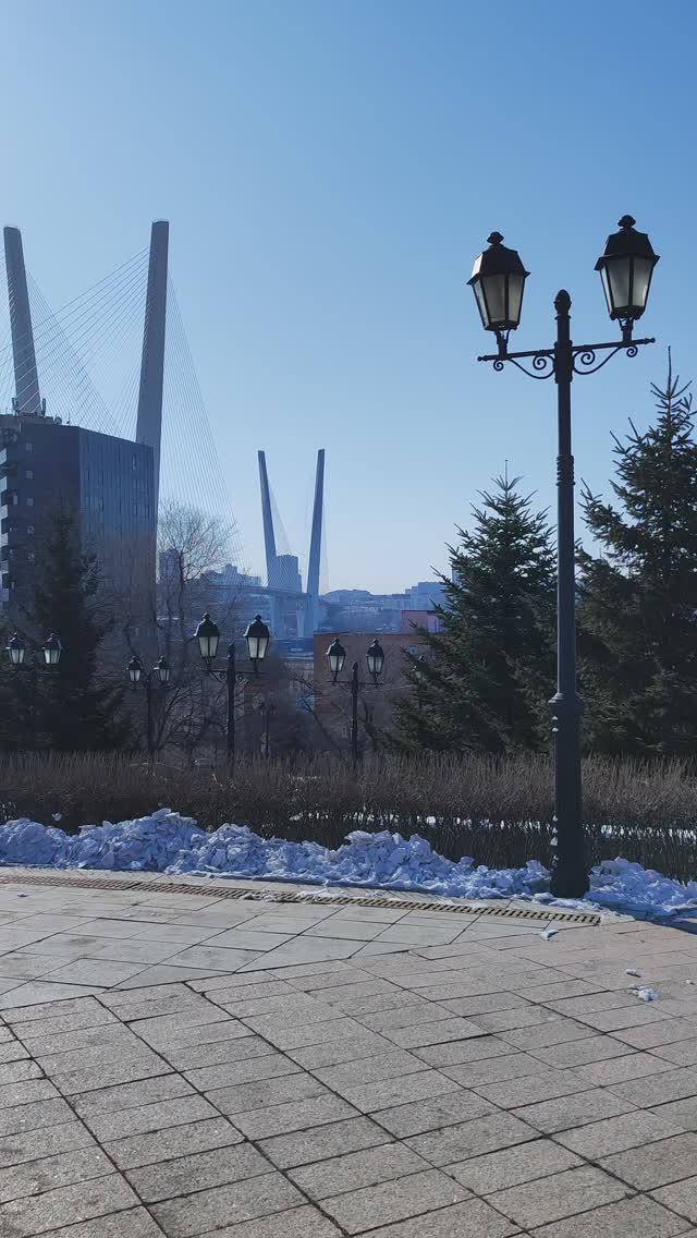 Владивосток 9 февраля 2025. смотреть онлайн