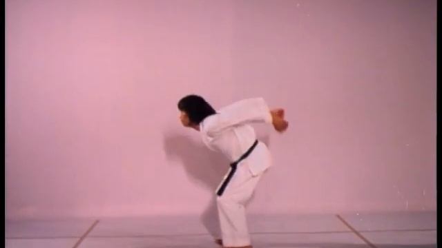 The Art of High-Impact Kicking ( 3 / 5 ) смотреть онлайн