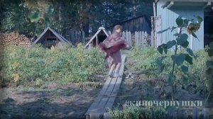 сборник№8 споловиной #киночернушки