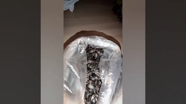 Вещи хомяка✨♥️🐹 смотреть онлайн