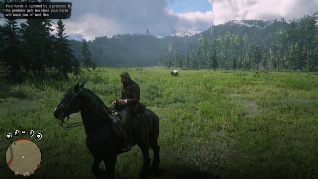 The Biggest Horse in Red Dead Redemption 2 | Raven Black Shire | RDR2 | PS4 Slim смотреть онлайн