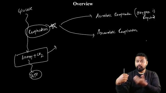 Respiration|Carbon Oxidation| Overview|Plant metabolism|CUET| Bsc Botany|Dr. Rajib Borah| Axomia Bi смотреть онлайн