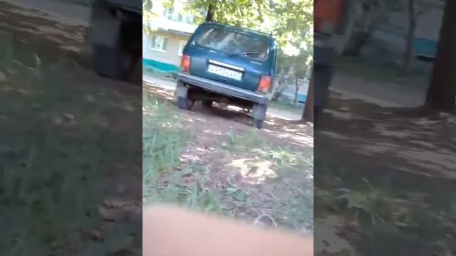 Нашли галчонка смотреть онлайн