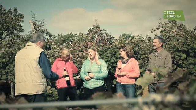 Experience Istria through the century-old vineyard and bread baking workshop смотреть онлайн