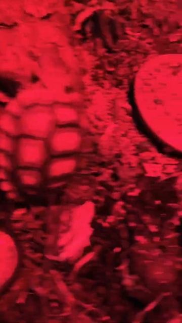 Red Alien Desert tortoise clone of SHELDON positively identified on Mars by NASA! 👽😉🐢❤️ смотреть онлайн