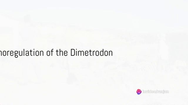 "Dimetrodon: The Permian Sail-Backed Predator, a Synapsid Tale" смотреть онлайн