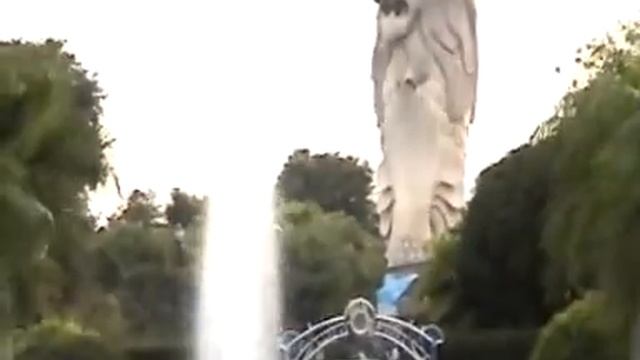 Dolphin show at Singapore смотреть онлайн