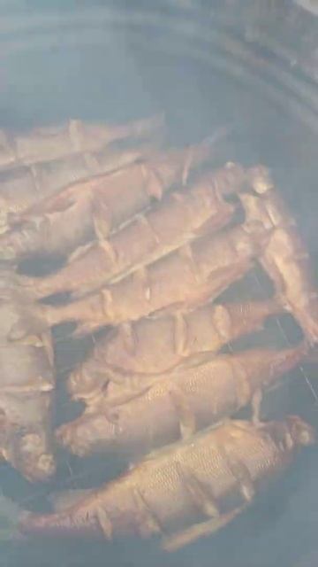 хариус в шарабане смотреть онлайн