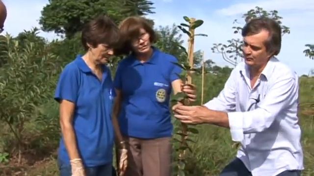 Replantio de árvores e limpeza do córrego em Guapiaçú/SP смотреть онлайн