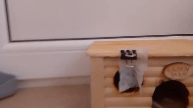 теперь очередь сажика смотреть онлайн
