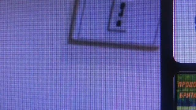 Существо неизвестной породы. Снова о еде и море. Наш отпуск в Египте. смотреть онлайн