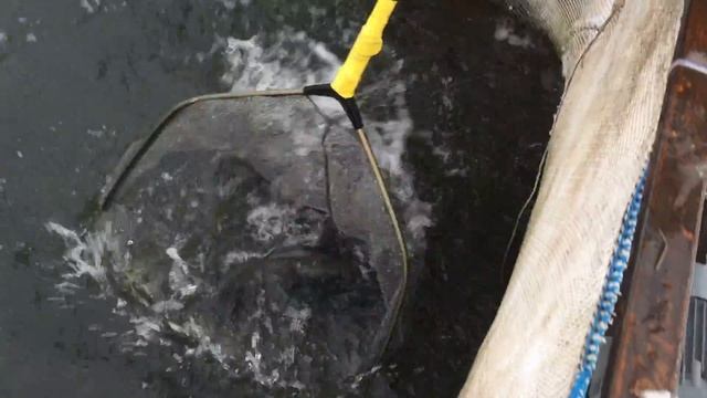 Погода даёт добро. смотреть онлайн