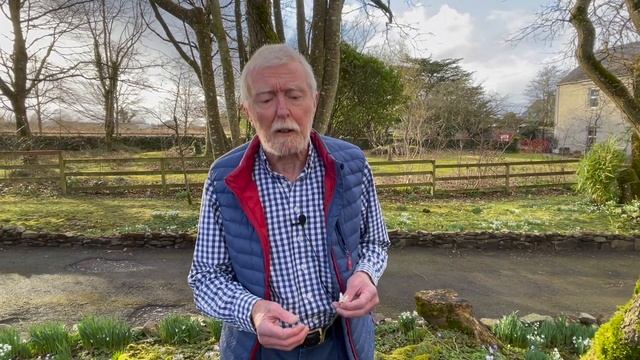 Snowdrop with John Feehan in spring, Wildflower of Offaly series смотреть онлайн