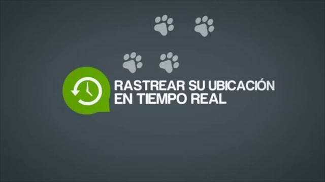 Pet Locator con Dispositivo GPS - Denda.com.mx смотреть онлайн